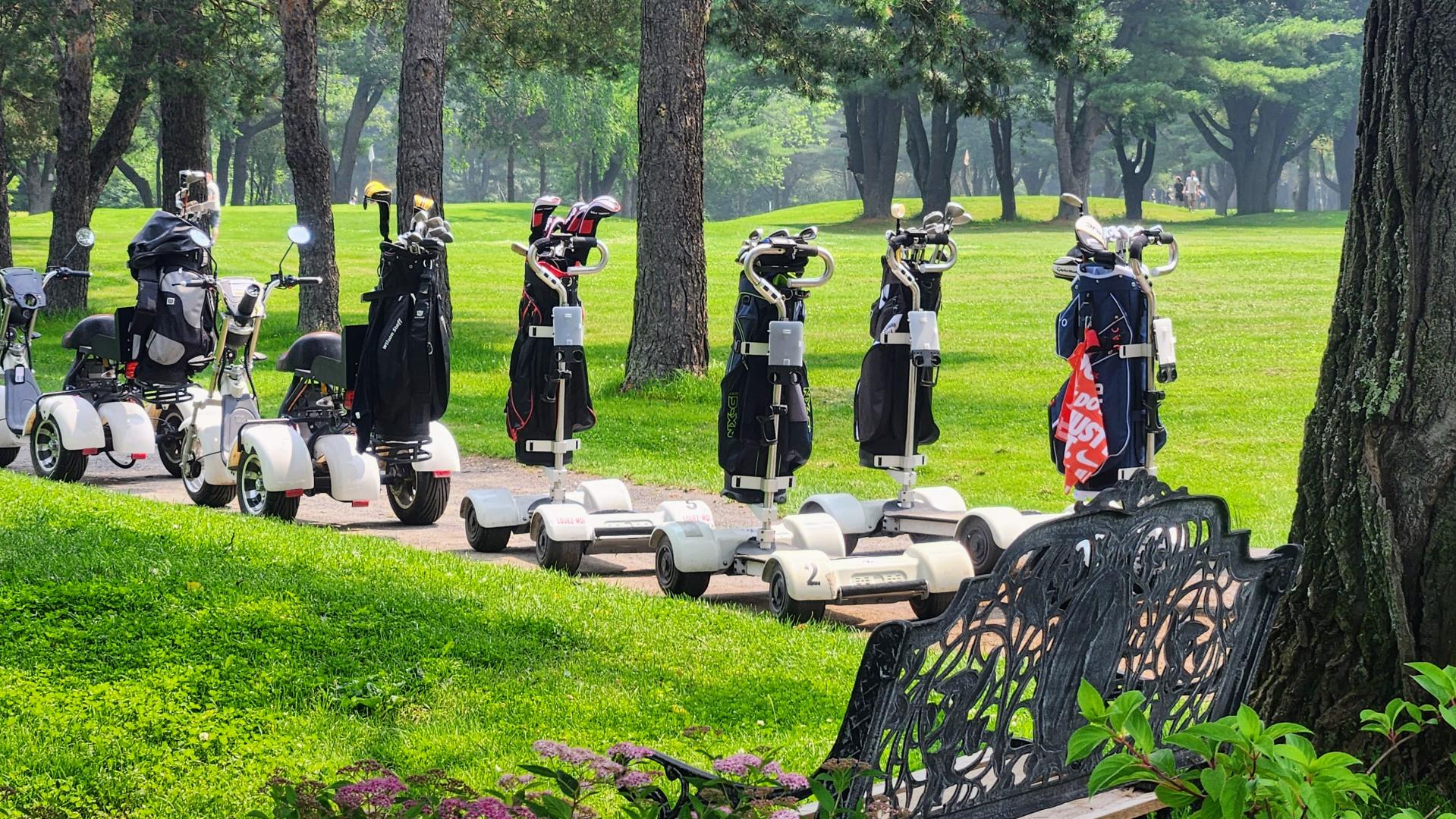 Champ de pratique Saint-Ours